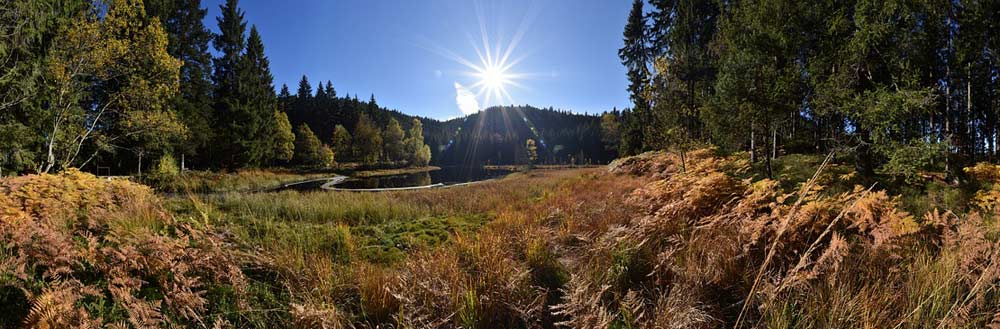 Auch Seen finden sich im Schwarzwald - hier der Buhlbachsee