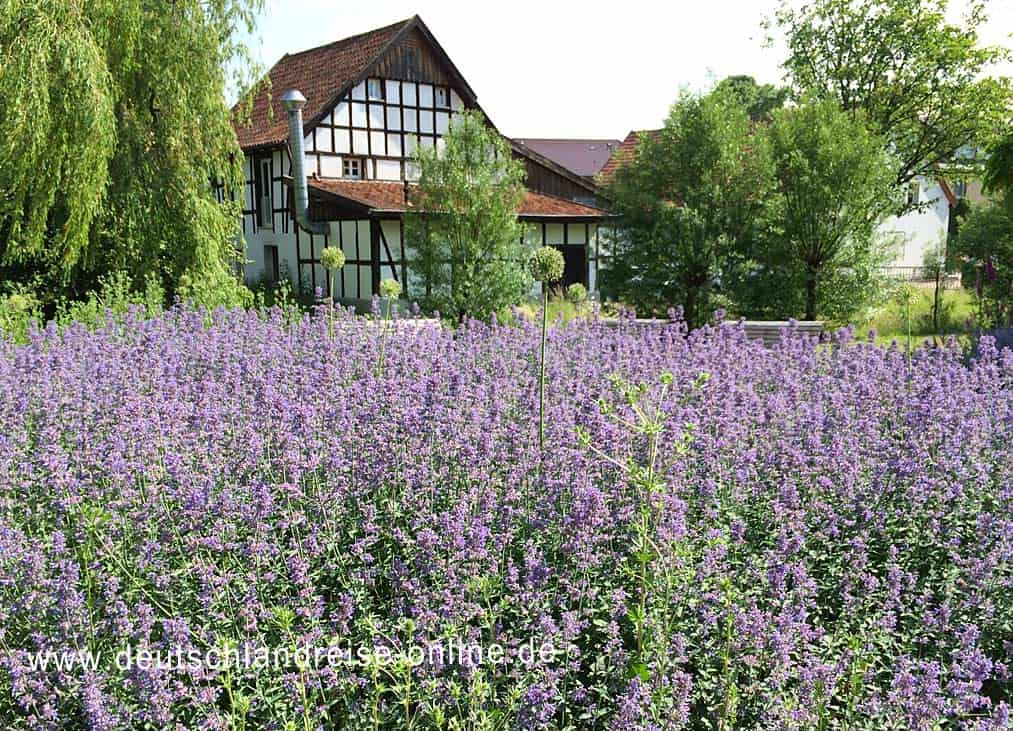 Bad Laer - Die alte Mühle (www.deutschlandreise-online.de)