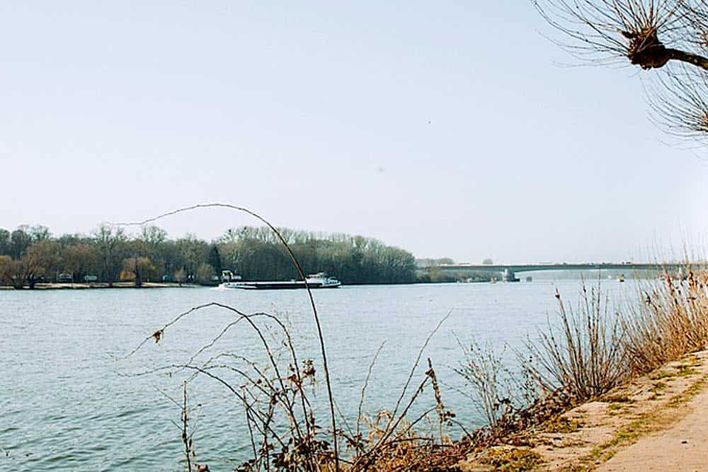 Rhein bei Wiesbaden