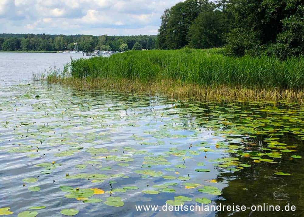 Scharmützelsee (www.deutschlandreise-online.de)