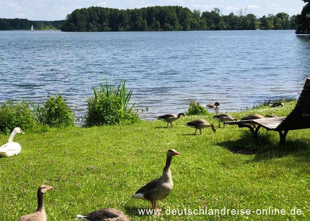 Scharmützelsee (www.deutschlandreise-online.de)