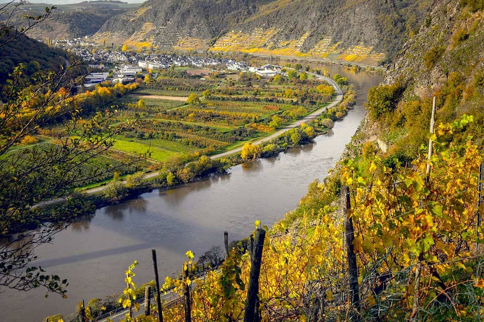 Weinanbau an der Mosel