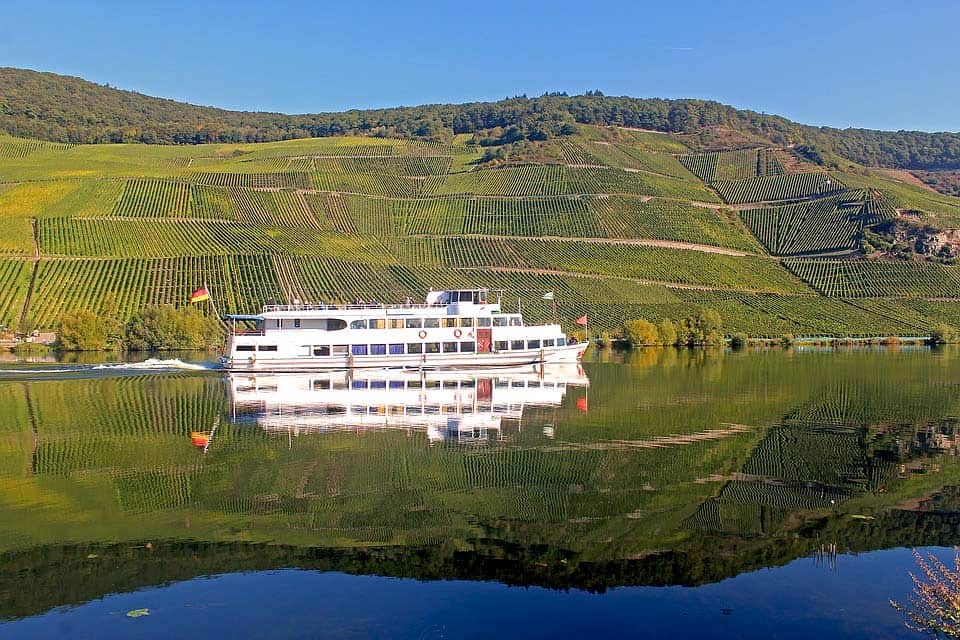 Weinberg an der Mosel